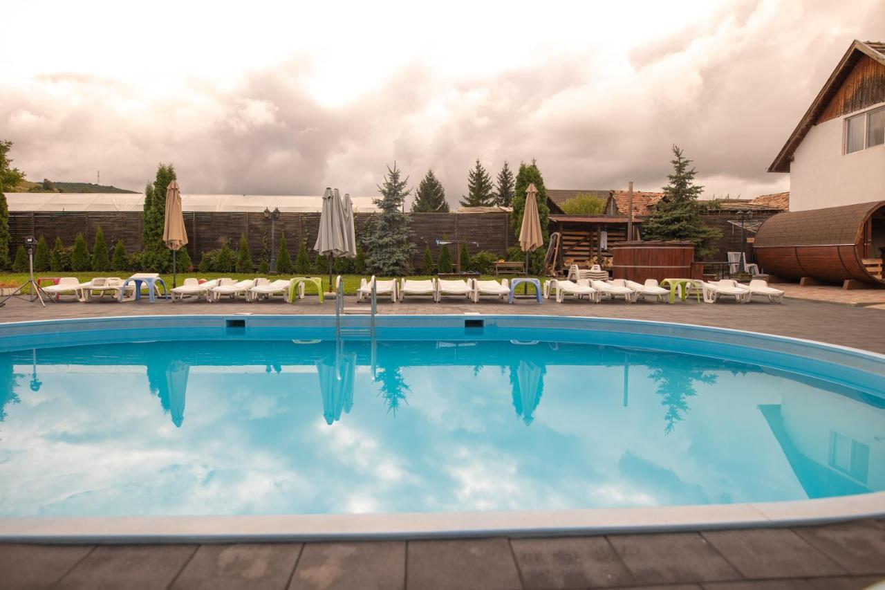 Pensiunea Sachsenhof Bagaciu Bagian luar foto