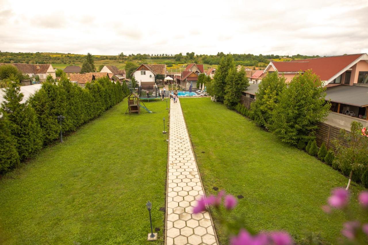 Pensiunea Sachsenhof Bagaciu Bagian luar foto