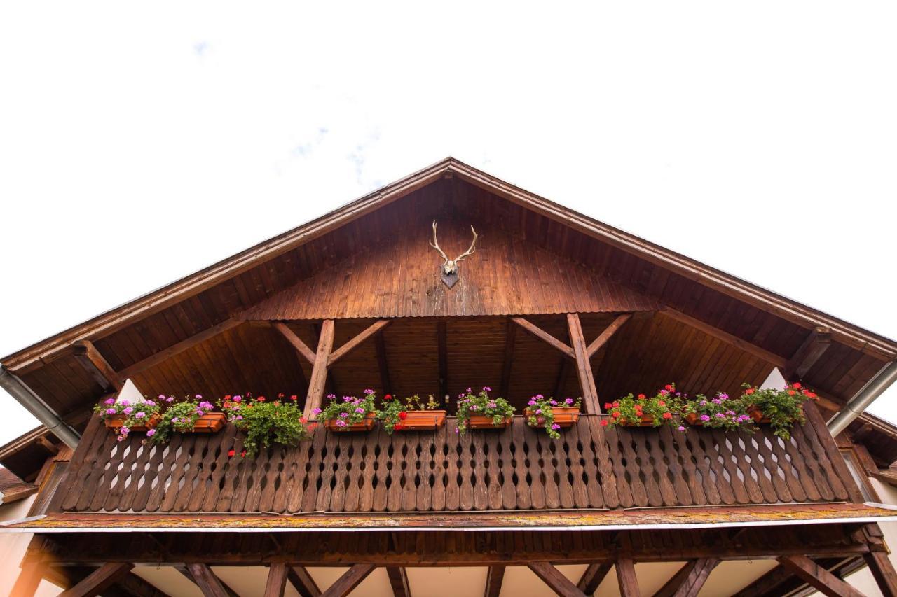 Pensiunea Sachsenhof Bagaciu Bagian luar foto