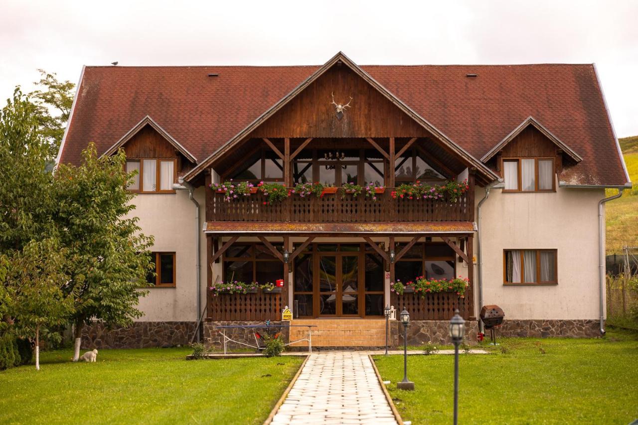 Pensiunea Sachsenhof Bagaciu Bagian luar foto