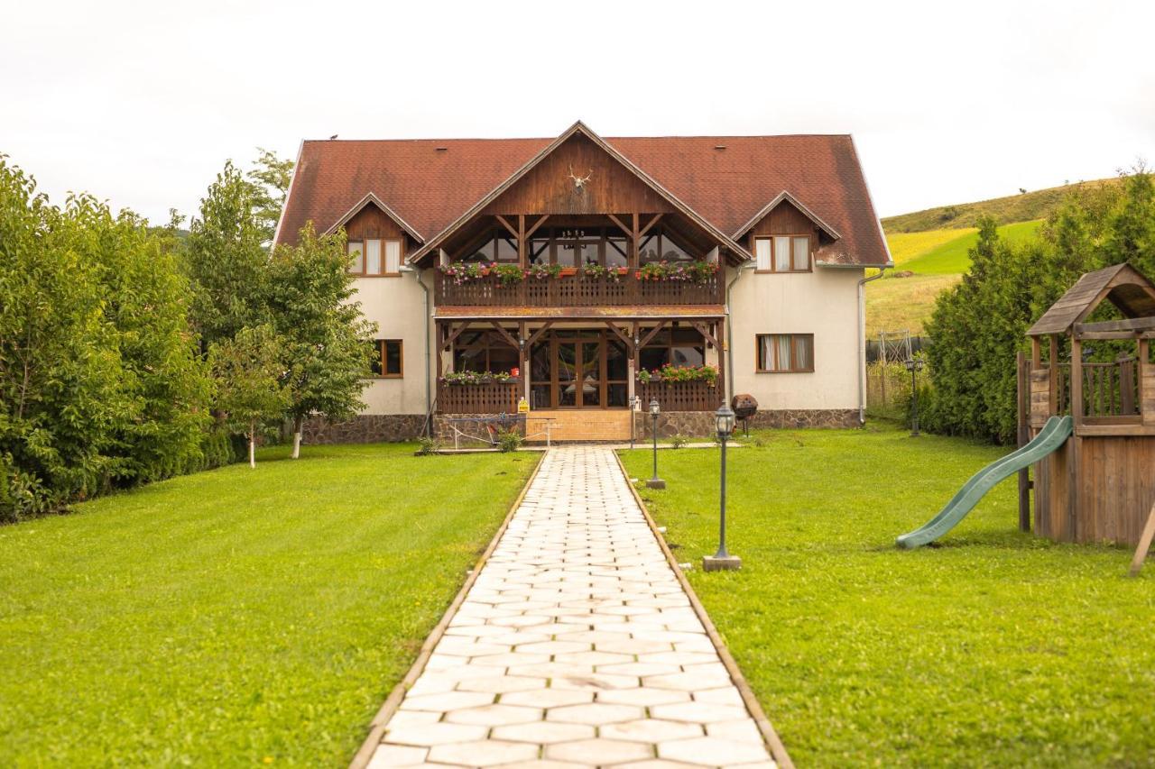 Pensiunea Sachsenhof Bagaciu Bagian luar foto